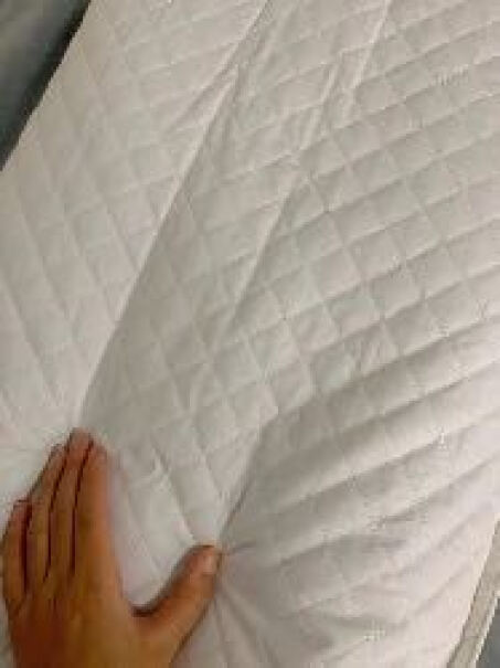 花草枕皮尔卡丹全棉荞麦枕头质量怎么样值不值得买,优缺点测评？