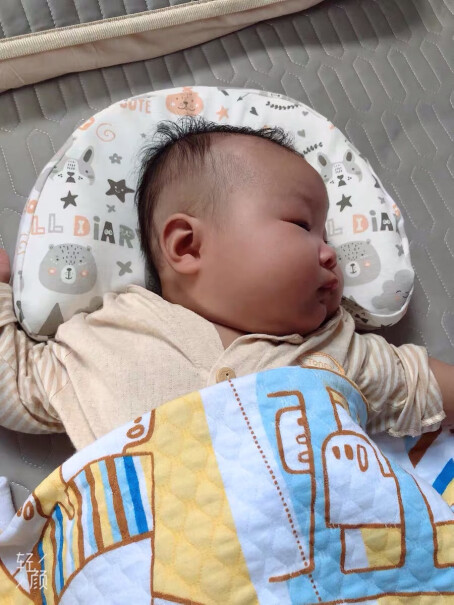 婴童枕芯-枕套贝壳日记定型枕换洗枕套功能介绍,对比哪款性价比更高？