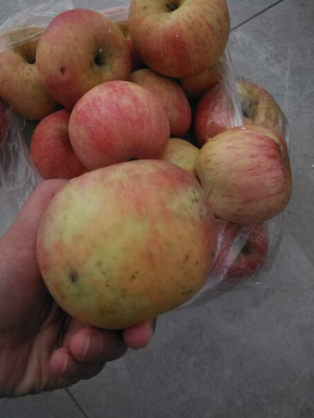 正宗山东烟台苹果栖霞红富士脆甜当季新鲜水果时令生鲜整箱是脆的，还是沙的哦？