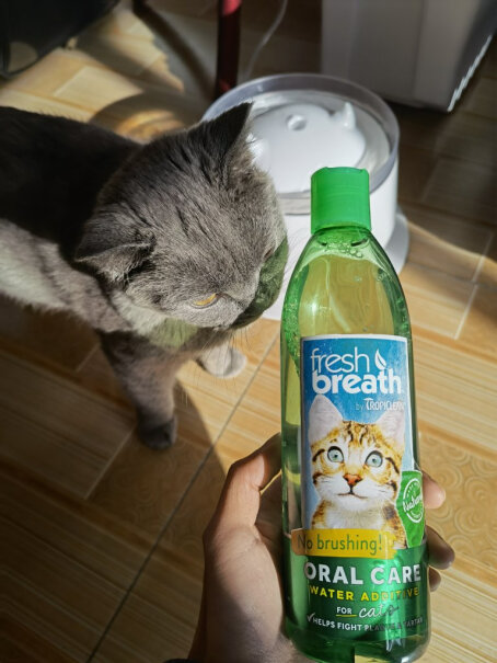 多美洁FreshBreath用了这个就不用给猫刷牙了么？