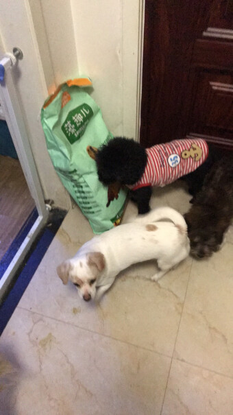 麦富迪宠物狗粮一袋能吃几天 8斤左右的小型犬？