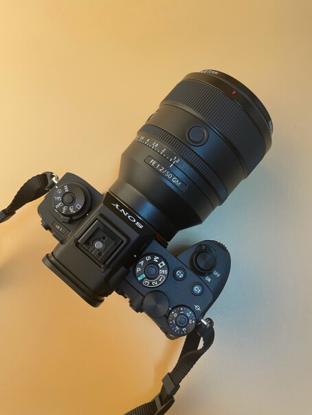 索尼FE 85mm F1.4 GM镜头翻了下评论 买了这个头的人 怎么都没传好片呢？