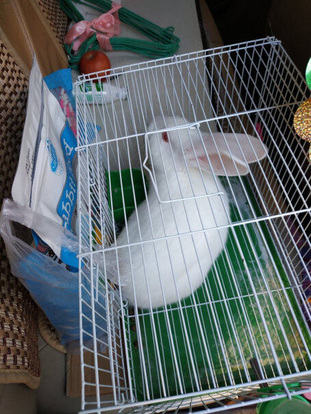 兔子用品洁西幼兔专属轻奢口粮2.5kg评测哪一款功能更强大,使用感受？