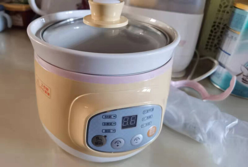 小熊煲汤电炖锅给婴儿煮粥多长时间？