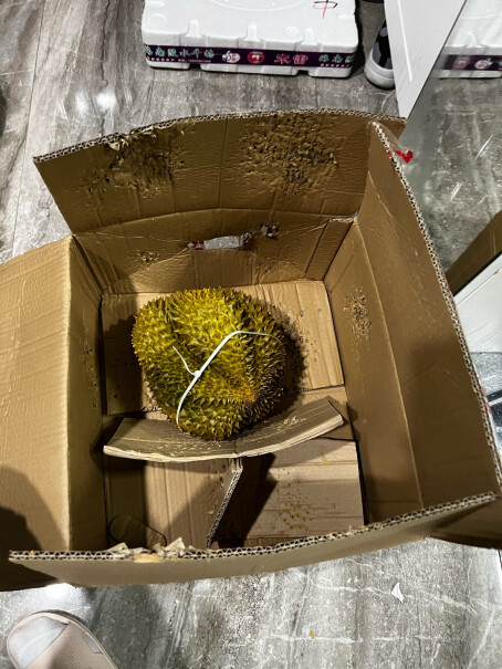 泰国进口金枕头榴莲2-4个装有人买到的果子 打开发现是速冻过的熟透了的么？害得我一天吃完，不然就坏。？