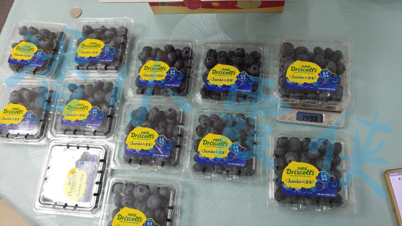 怡颗莓蓝莓最近沈阳仓库的质量怎么样？