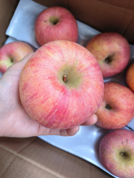 烟台红富士苹果5kg装一箱净重多少，大概多少个苹果？