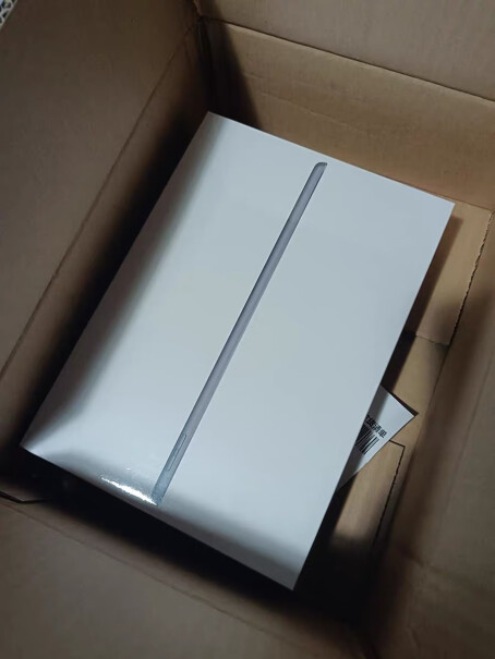 Apple iPad 10.2英寸平板电脑 2021款第9代（64GB WLAN版这个可不可以上卡？