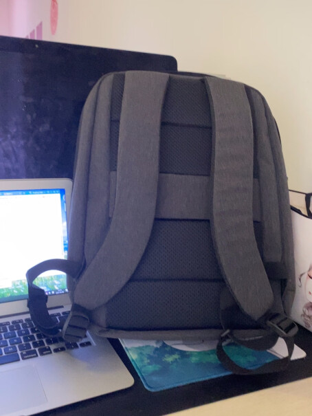 小米（MI）电脑包小米极简都市双肩包休闲商务笔记本电脑包15.6英寸评测比较哪款好,买前必看？