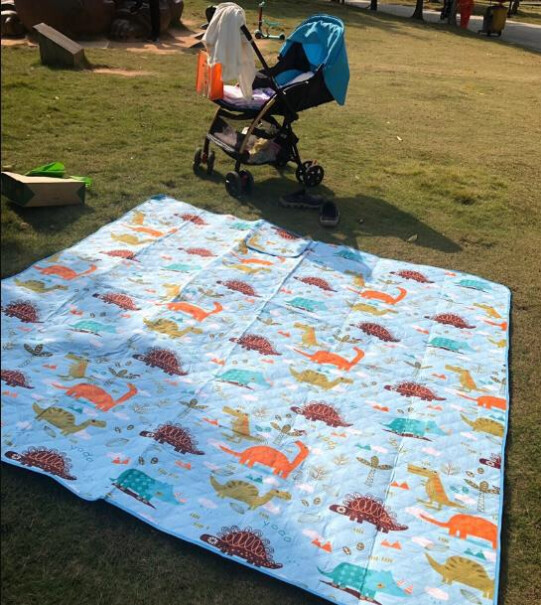 帐篷-垫子悠度户外野餐垫可机洗防潮垫测评大揭秘,使用体验？