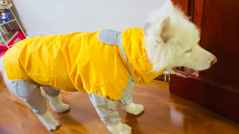 宠物鞋服智汇狗狗雨衣评价质量实话实说,一定要了解的评测情况？