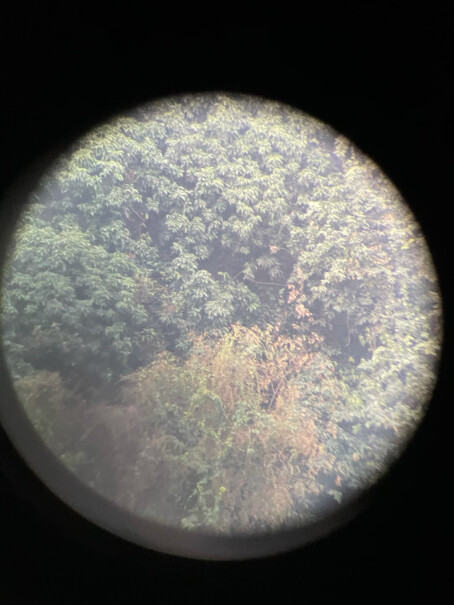 博冠猎手II7X50双筒望远镜白天能从屋外透过窗户看到屋内？