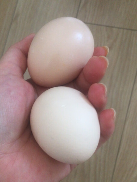 圣迪乐村 新鲜鸡蛋 30枚礼盒装选购技巧有哪些？来看下质量评测怎么样吧！