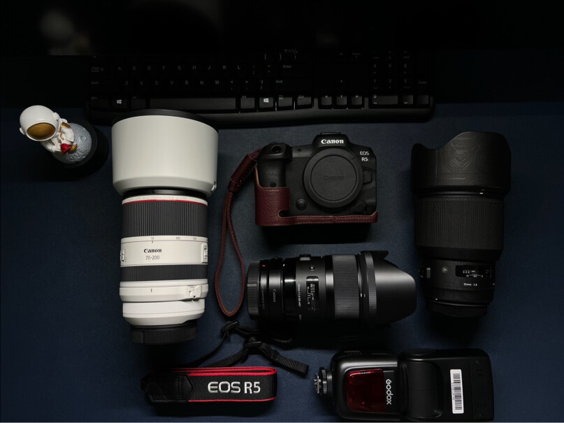 佳能RF70-200mm F2.8 L IS USM微单远摄镜头E0SM5能用吗？
