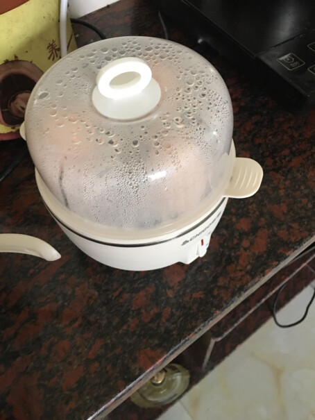 志高煮蛋器双层家用蒸蛋器防干烧煮蛋器神器有没有白色的？