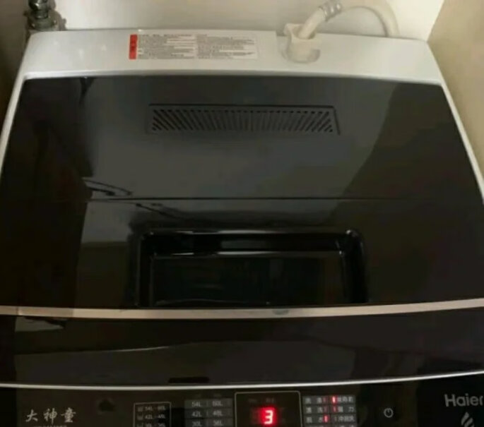 海尔租房神器波轮洗衣机全自动能单独漂洗么？