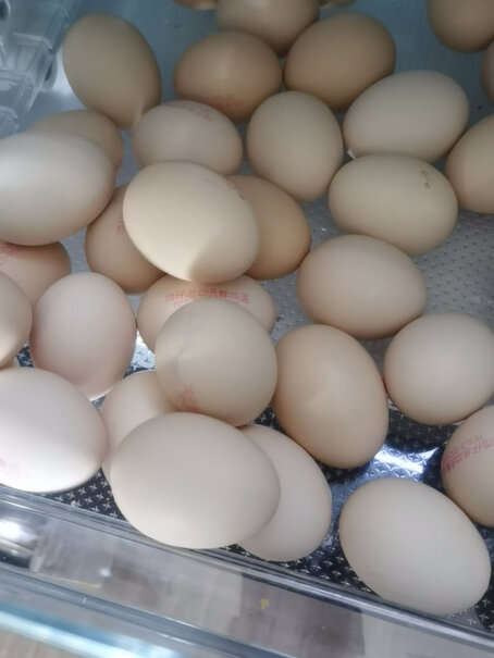 圣迪乐村 新鲜鸡蛋 30枚礼盒装可以入手吗？最新口碑评测反馈！