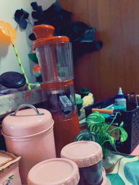 图玛TOMONI原汁机家用榨汁机免过滤自动分离果渣可以榨绿叶菜吗？