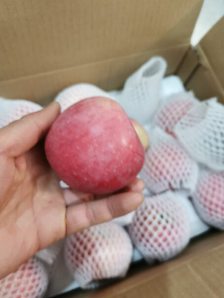 佳农陕西洛川苹果红富士5kg寄上海多久？