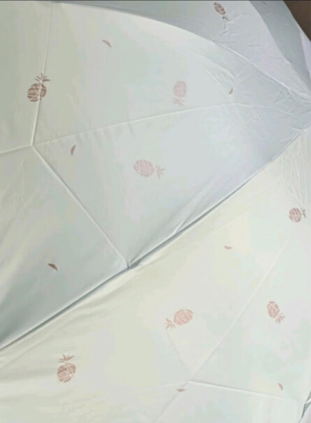 天堂伞遮阳伞菠萝奶酪色能防雨吗！？