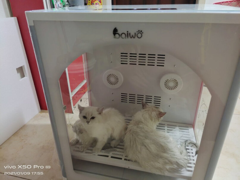 美容电器百我宠物烘干箱中小型猫咪烘干机宠物店使用两个月反馈！来看下质量评测怎么样吧！