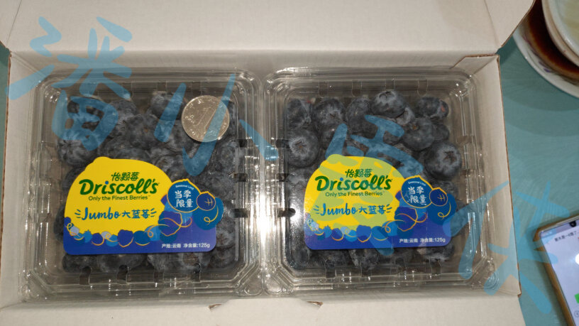 怡颗莓蓝莓请问六盒装有礼盒吗？长啥样？