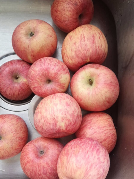 洛川苹果（luochuanapple）苹果陕西洛川的苹果新鲜红富士评测比较哪款好,评测性价比高吗？