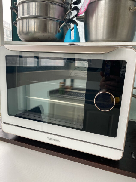 电烤箱东芝TOSHIBA蒸烤一体机评测好不好用,来看看买家说法？