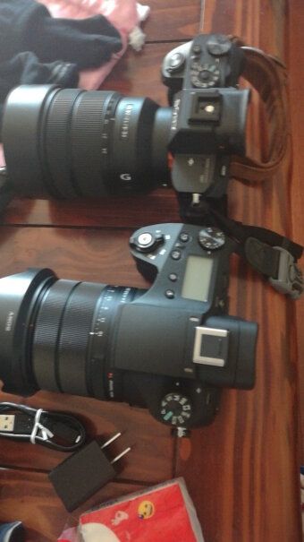 索尼DSC-RX10M3数码相机和佳能5D3配腾龙150-600二代拍飞鸟相比有差距吗？