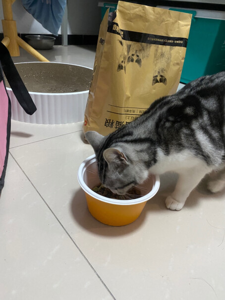 好主人天然高级幼猫猫粮为什么我的小猫不吃这个猫粮，换猫粮掺着吃的时候会吃，现在全部放这个猫粮了，闻一闻就走了，一直不吃。