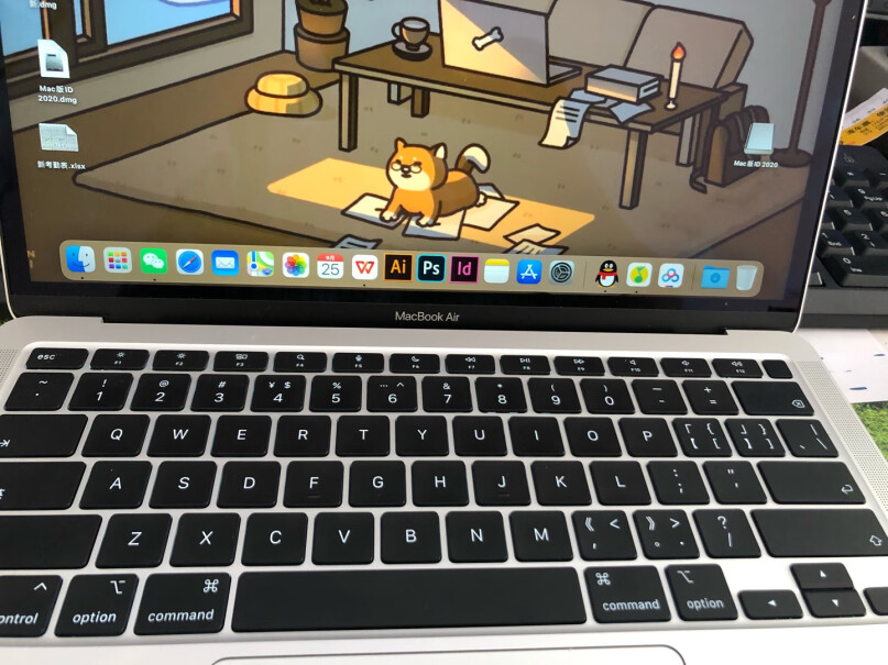 AppleMacBook可以装Windows或W10吗 ？