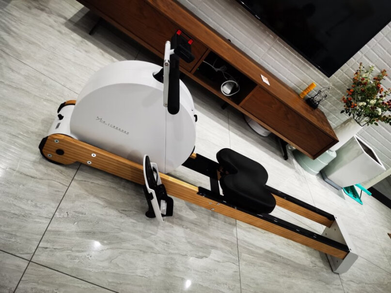 小莫智能静音磁控划船机高颜值家用健身器材实木划船器这个和陆游器比哪个更好用？
