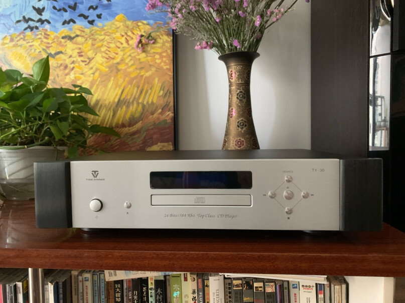 HIFI专区天逸TY-30高保真音乐HIFI数字转盘CD机性价比高吗？,对比哪款性价比更高？
