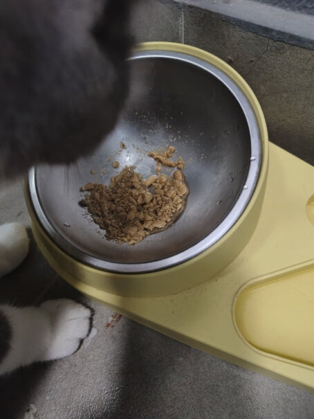 朗诺临期冻干猫粮 鸡肉150g*3袋 成猫性价比高吗？评测报告来告诉你！