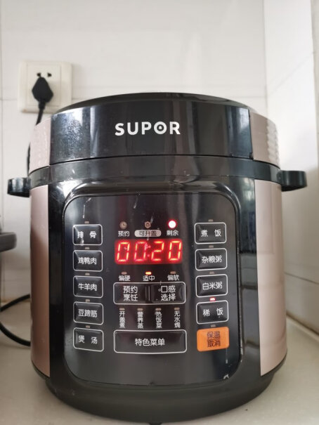 苏泊尔电压力锅双胆家用电高压锅容量多大？