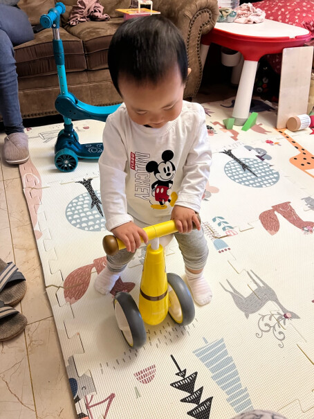 儿童滑步车babycare儿童三轮车平衡车无脚踏一定要了解的评测情况,评测哪一款功能更强大？