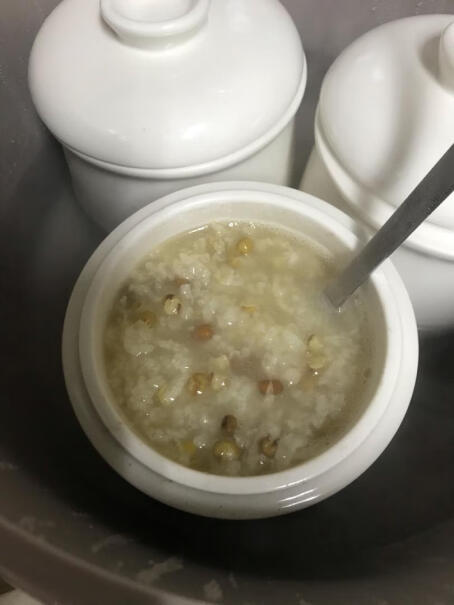 小熊电炖锅电炖盅豆子能炖烂吗？