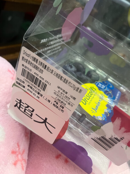 怡颗莓蓝莓性价比如何？买前必知！