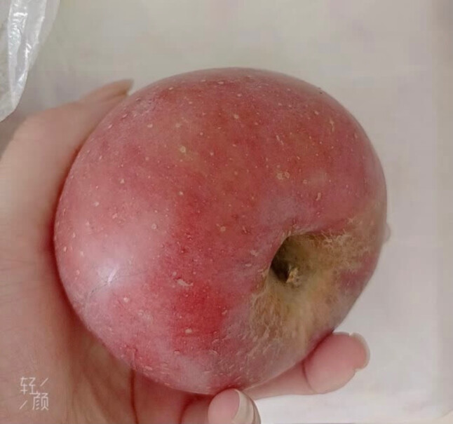 苹果新苹果脆甜性价比高吗？,适不适合你！看质量怎么样！