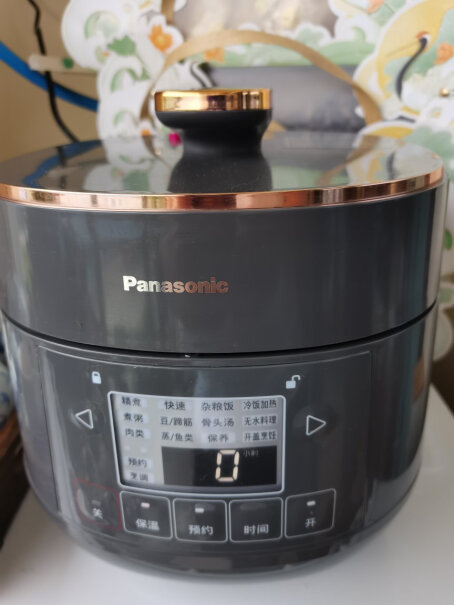 松下Panasonic这款和那个IH的电压力锅哪个更好呀？有什么区别呀？