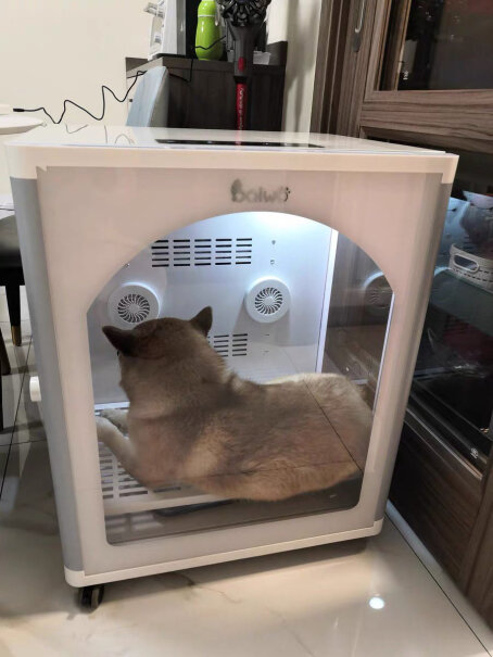 百我（Baiwo猫咪烘干机宠物烘干箱猫窝猫屋大家用的怎么样啊？