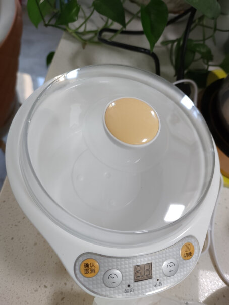 小熊酸奶机不用菌可以做酸奶吗？