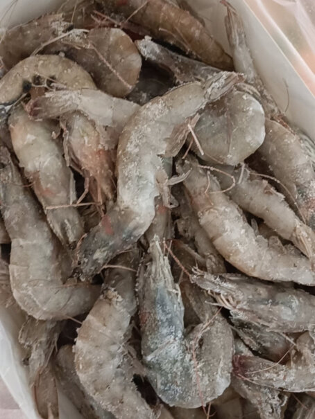 京鲜港 厄瓜多尔白虾1.5kg 大虾盐冻 海鲜烧烤性价比如何？亲测解析实际情况？