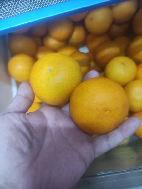 鲜仑四川爱媛果冻橙柑橘子新鲜水果适合入手吗？网友评测点评？