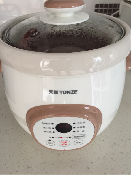 天际TONZE电炖锅电炖盅这个锅不沸腾，温度能到100度吗？
