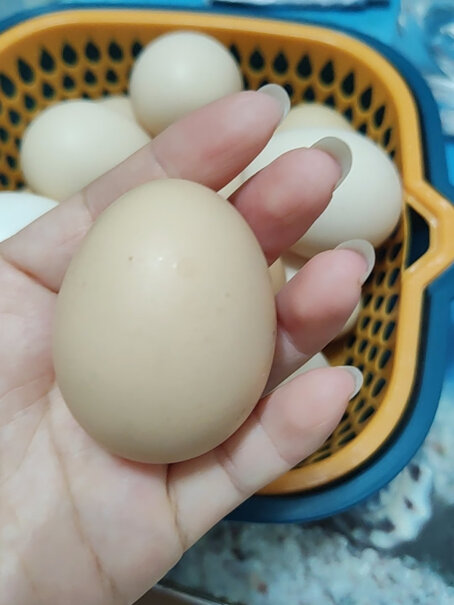 京东京造安心鲜鸡蛋 20枚初生蛋 15项安心检测怎么样入手更具性价比？图文解说评测？