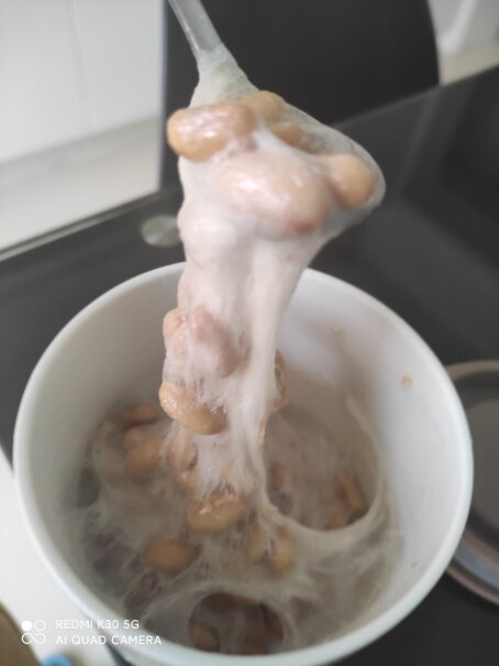 酸奶机-冰淇淋机生活元素纳豆机质量好吗,最真实的图文评测分享！