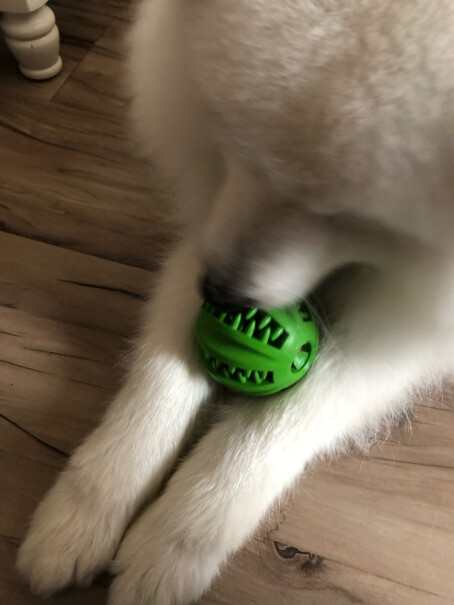 狗玩具宜特不倒蛋漏食球狗狗玩具漏食球哪个更合适,质量靠谱吗？