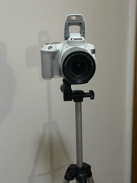 伟峰WT-3111三脚架Sony 摄影机可用吗？