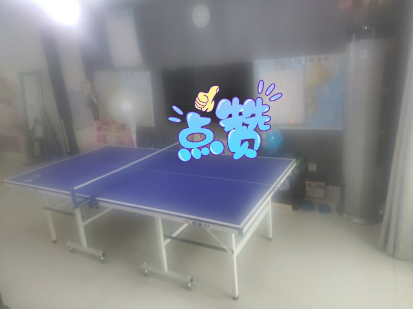 乒乓球桌双鱼儿童乒乓球桌家用室内乒乓球台详细评测报告,哪个更合适？